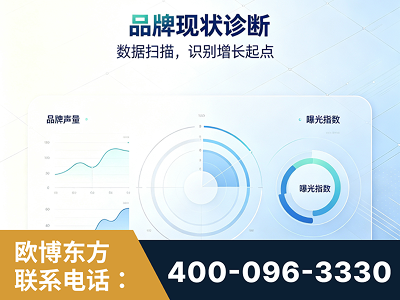 广州-品牌现状诊断
