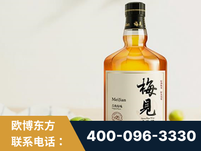 广州-梅见青梅酒